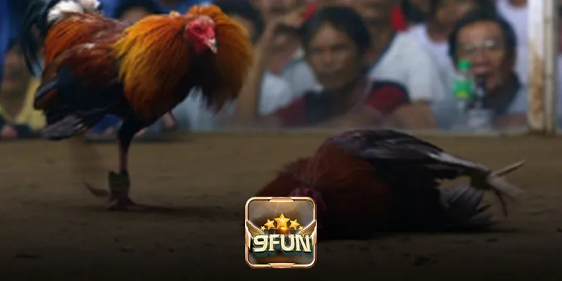 Các bước đăng ký tài khoản trên 9Fun