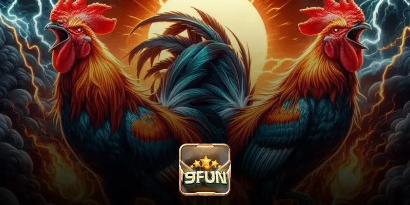 Một số mẹo cá cược đá gà đòn hiệu quả tại 9Fun